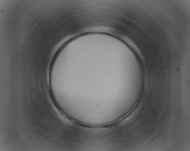 X0000086220988200703290959