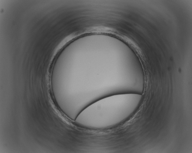 X0000086220990200703290959