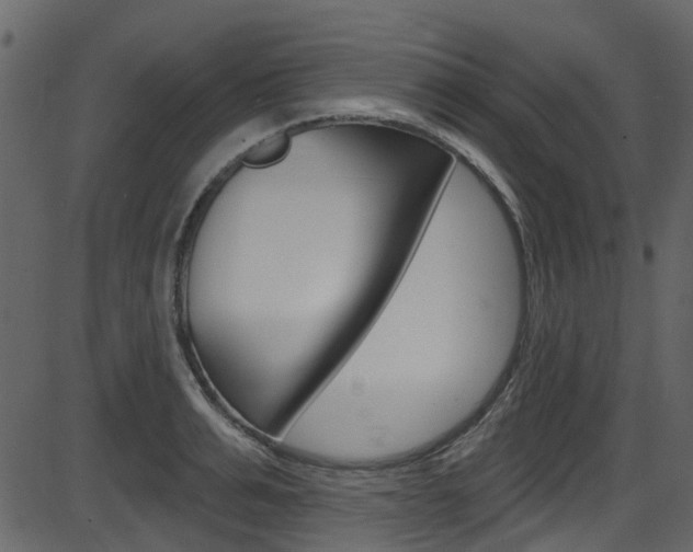 X0000086220991200703290959