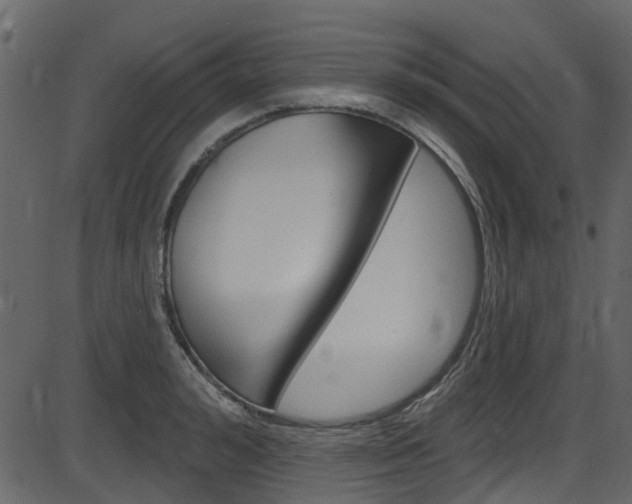 X0000086220992200703290959