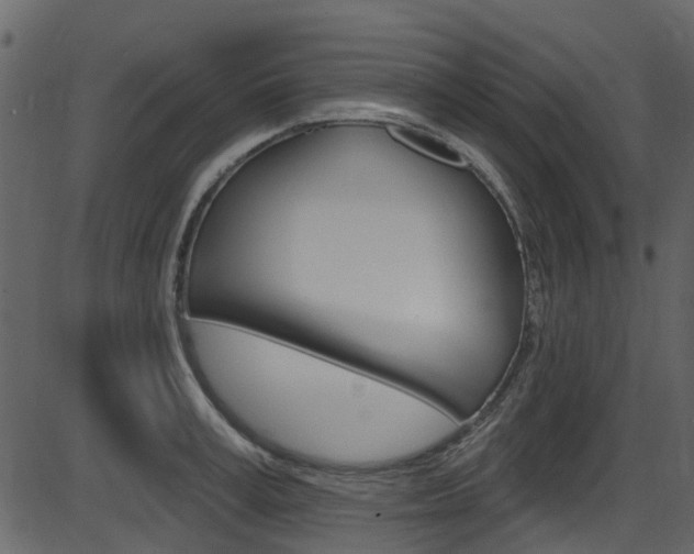 X0000086220995200703290959