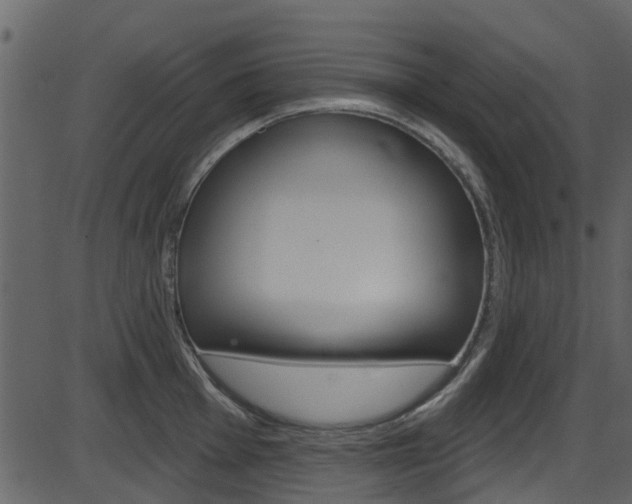 X0000086221001200703290959