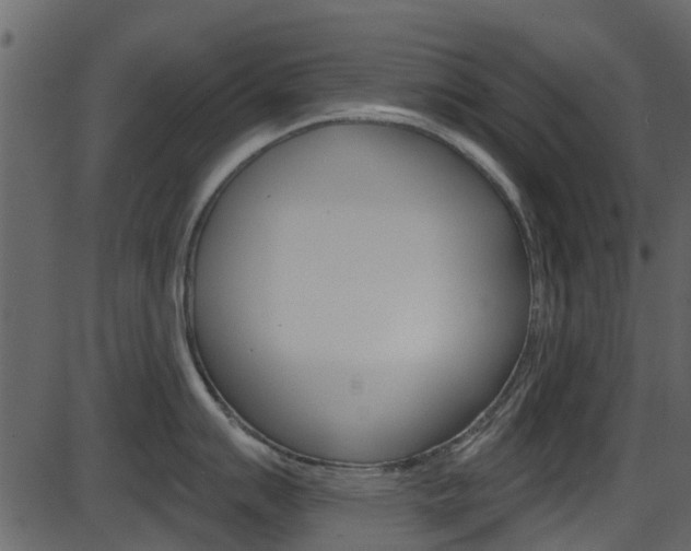 X0000086221007200703290959