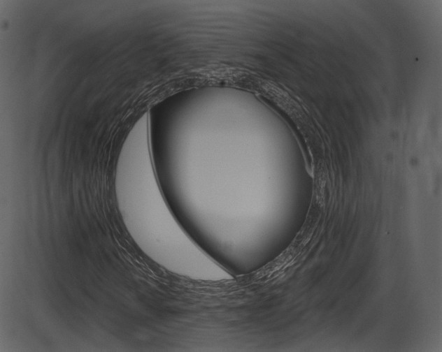 X0000086221010200703290958