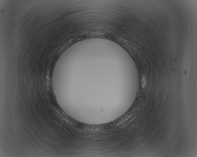 X0000086221011200703290958