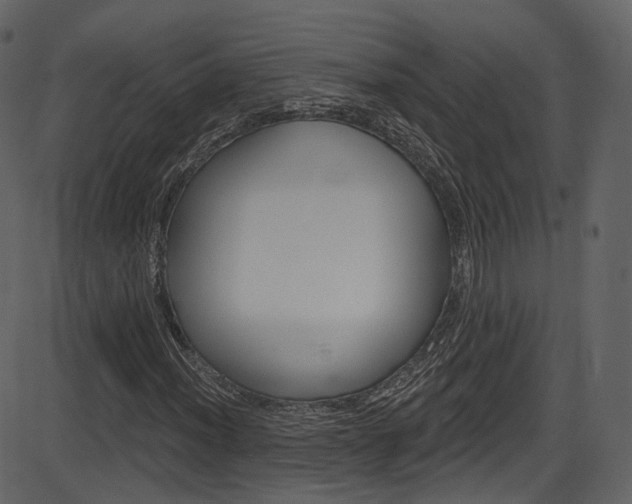 X0000086221012200703290958