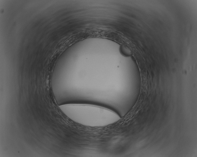 X0000086221013200703290958