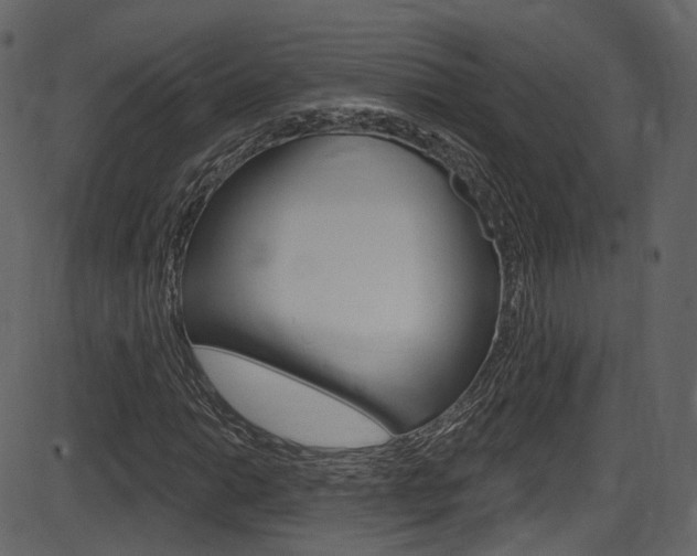 X0000086221014200703290958