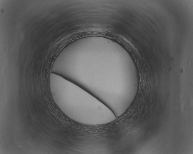 X0000086221015200703290958