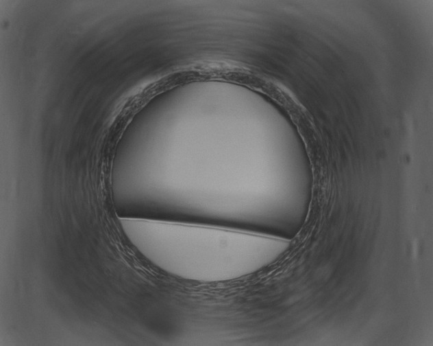 X0000086221016200703290958