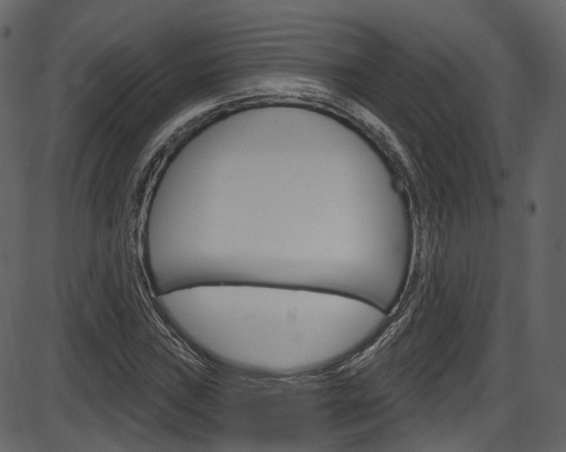 X0000086221019200703290958