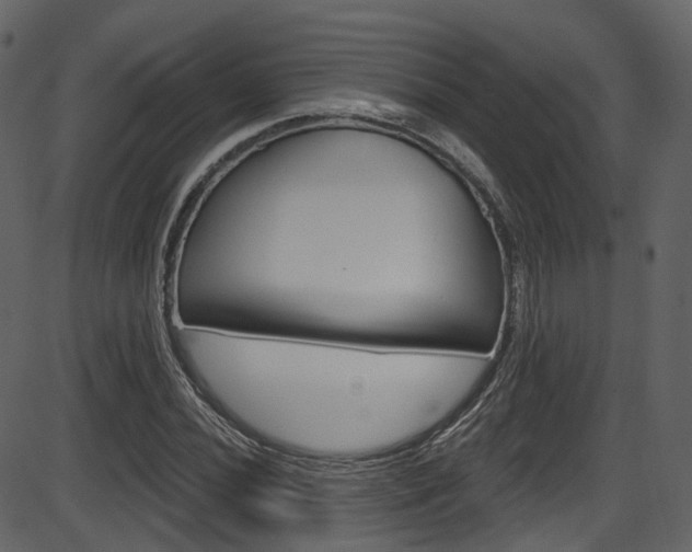 X0000086221020200703290958