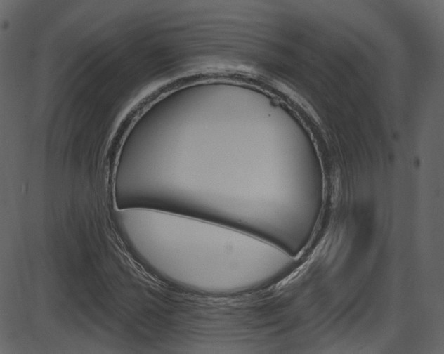 X0000086221021200703290958