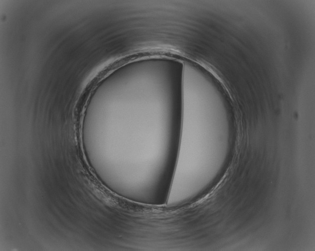 X0000086221022200703290958