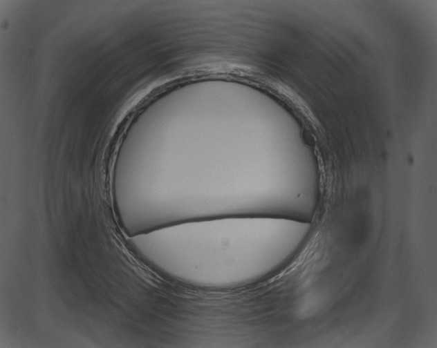 X0000086221023200703290958