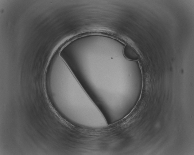 X0000086221024200703290958