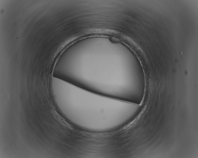 X0000086221025200703290958