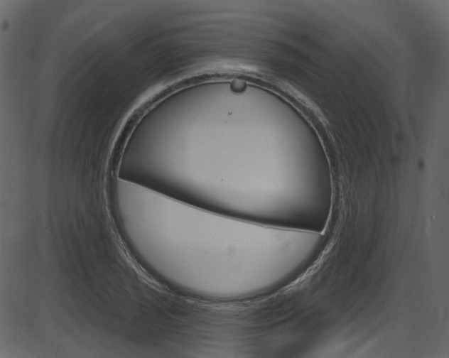 X0000086221029200703290958