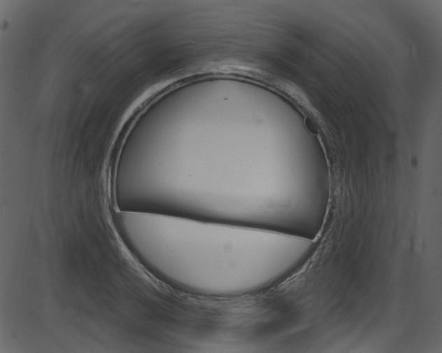 X0000086221032200703290958