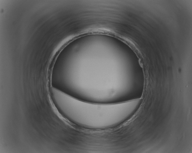 X0000086221038200703290958