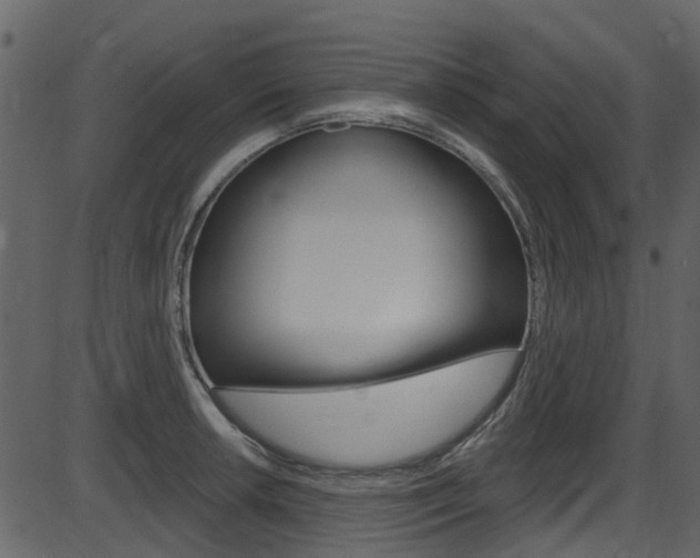 X0000086221042200703290958