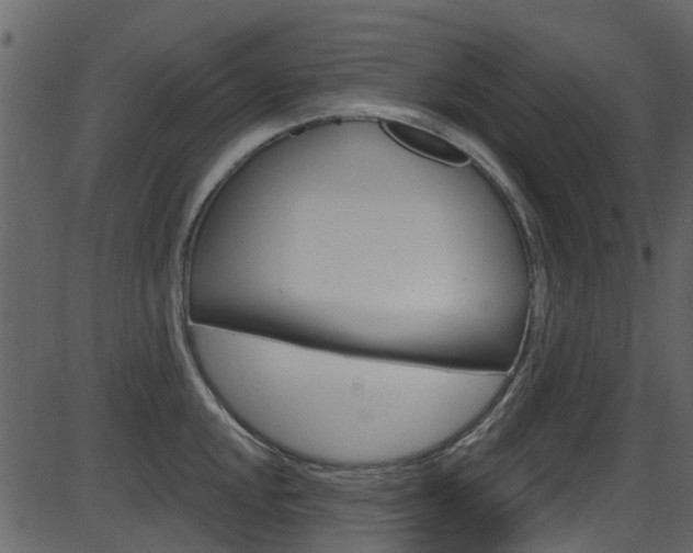X0000086221048200703290959