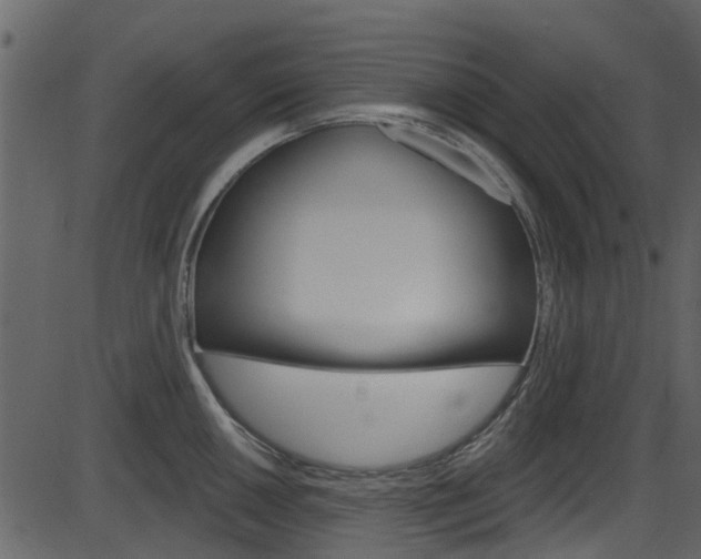 X0000086221050200703290959