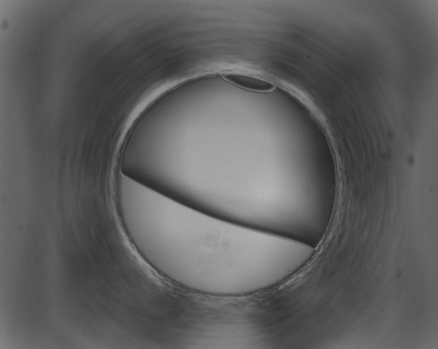 X0000086221056200703290959