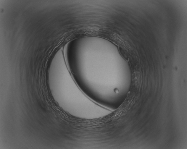 X0000086221057200703290958