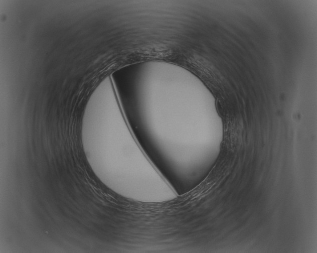X0000086221058200703290958