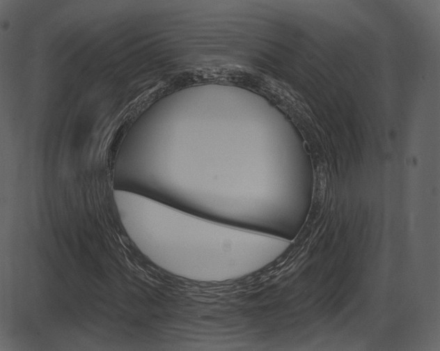 X0000086221060200703290958