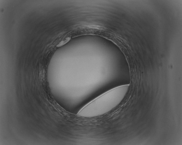 X0000086221061200703290958