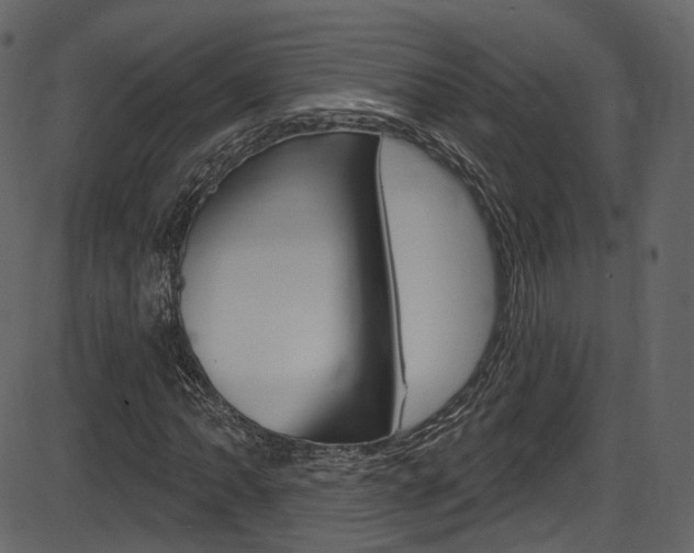 X0000086221062200703290958