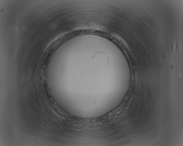 X0000086221064200703290958
