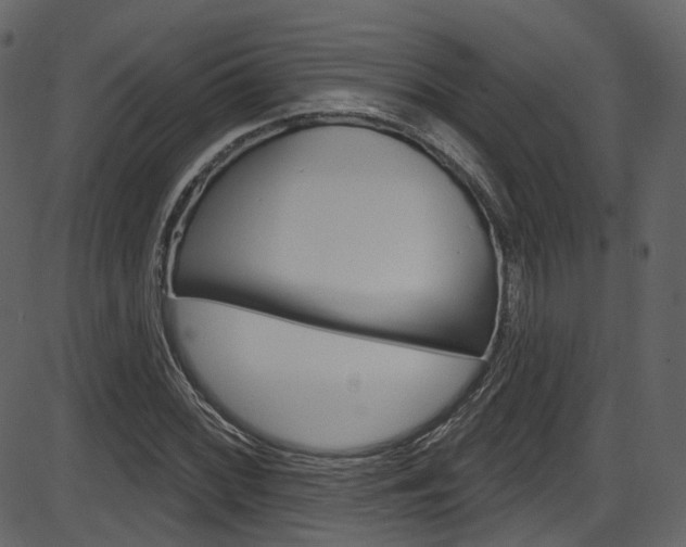X0000086221068200703290958