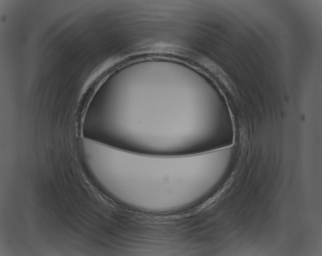 X0000086221069200703290958