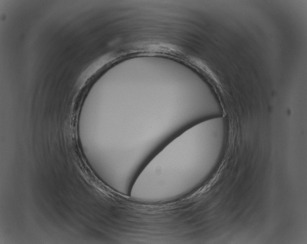 X0000086221071200703290958