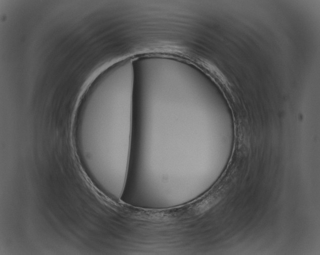 X0000086221072200703290958