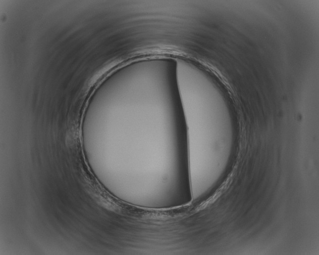 X0000086221073200703290958