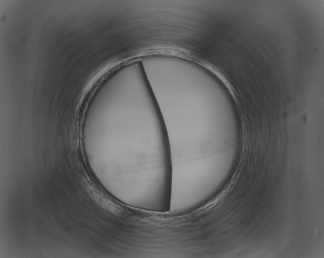 X0000086221075200703290958