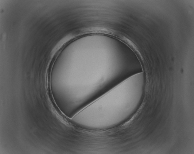 X0000086221082200703290957