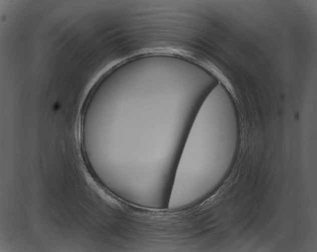 X0000086221084200703290957