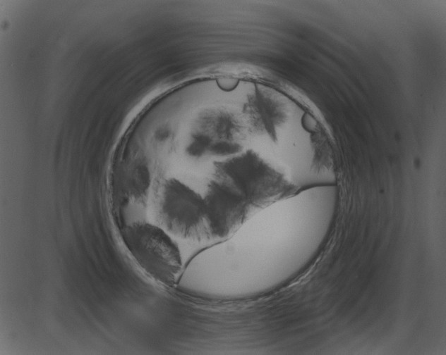 X0000086221091200703290957