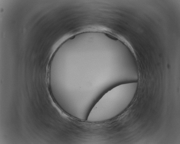X0000086221103200703290957