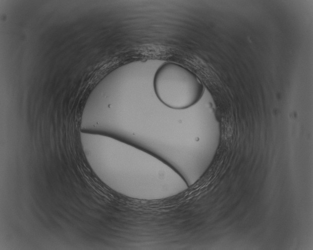 X0000086221106200703290956