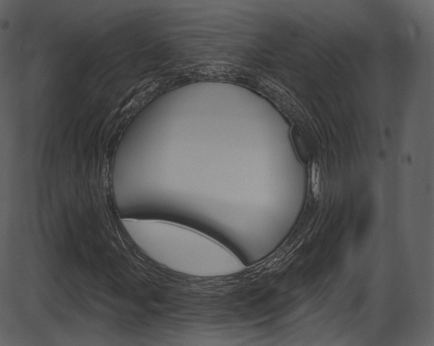 X0000086221107200703290956