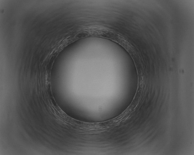 X0000086221108200703290956