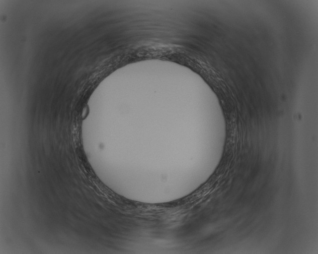 X0000086221109200703290956