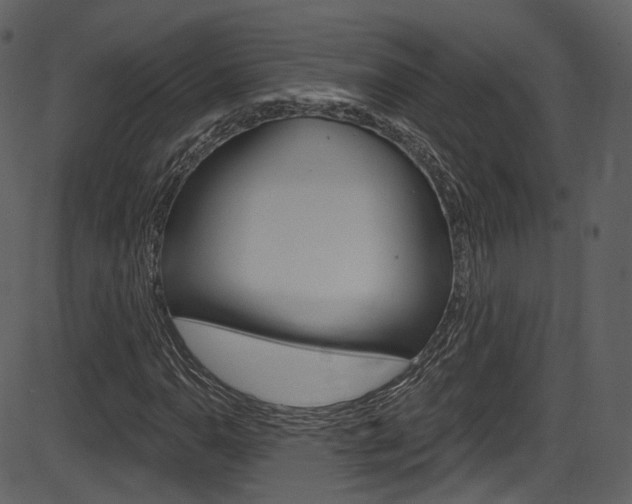 X0000086221110200703290956