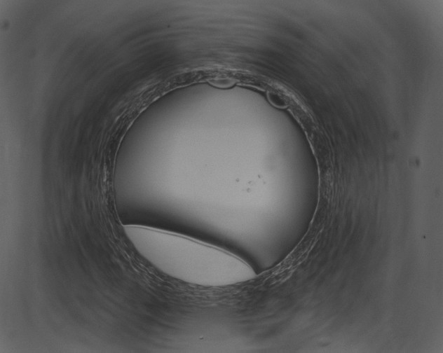 X0000086221111200703290956